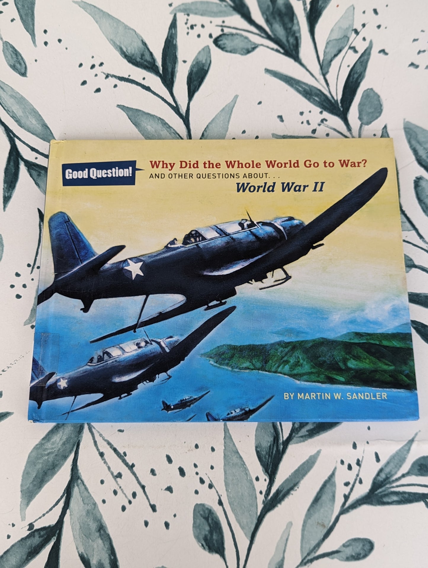 Why Did the Whole World Go To War? And Other Questions about... World War II