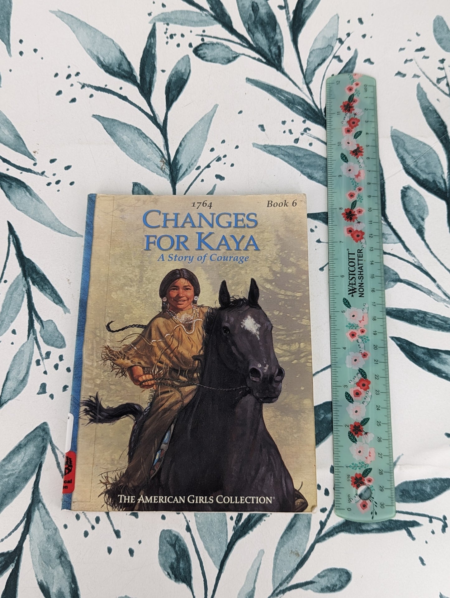 Changes for Kaya: A Story of Courage (Book 6)