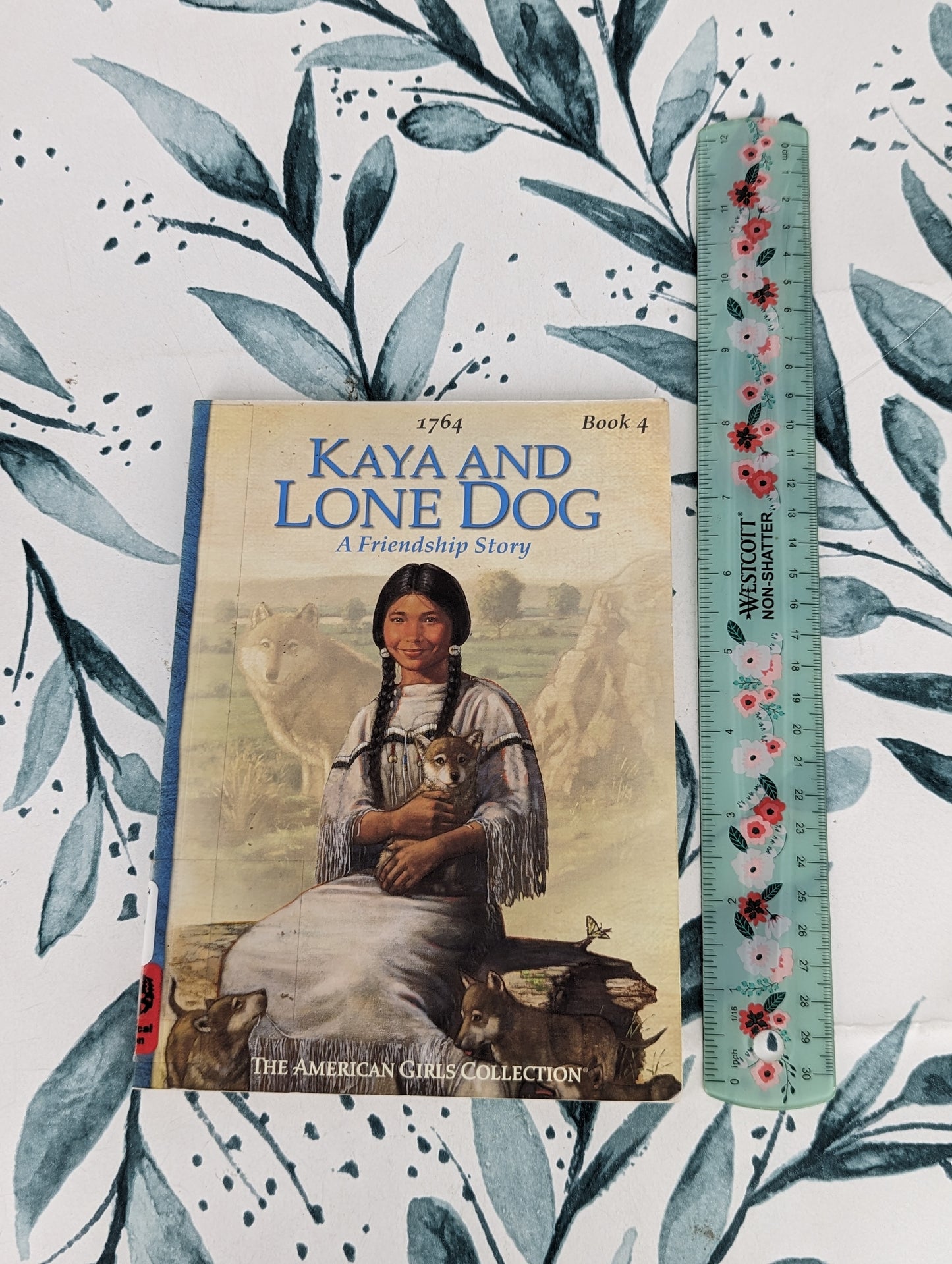 Kaya and the Lone Dog: A Friendship Story (Book 4)