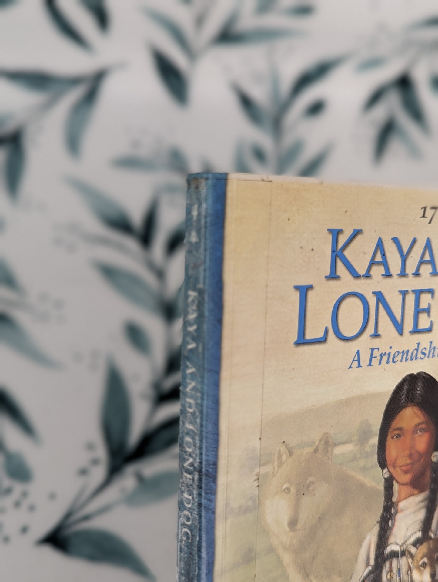 Kaya and the Lone Dog: A Friendship Story (Book 4)