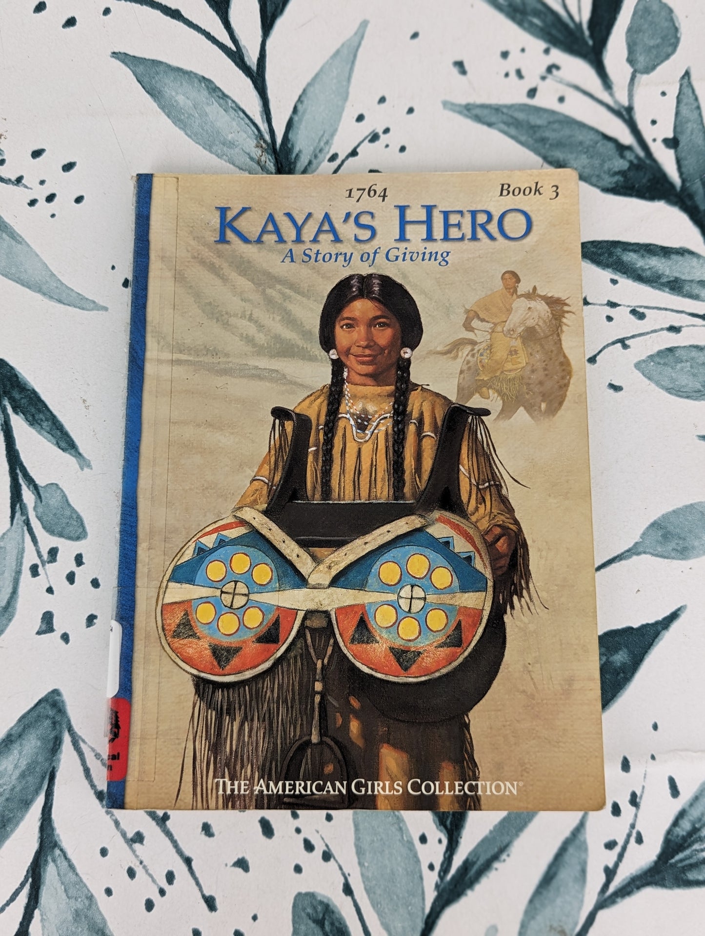 Kaya's Hero: A Story of Giving (Book 3)