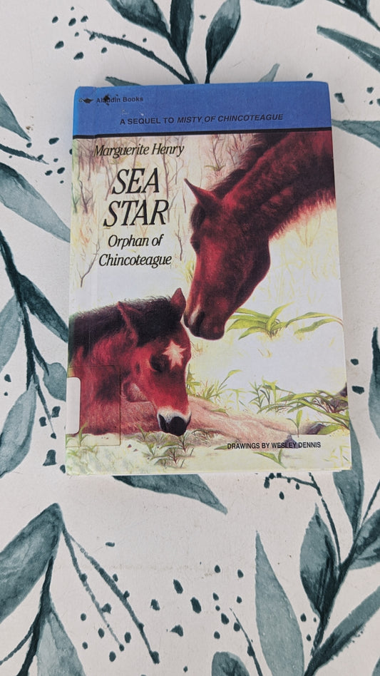Sea Star: Orphan of Chincoteague