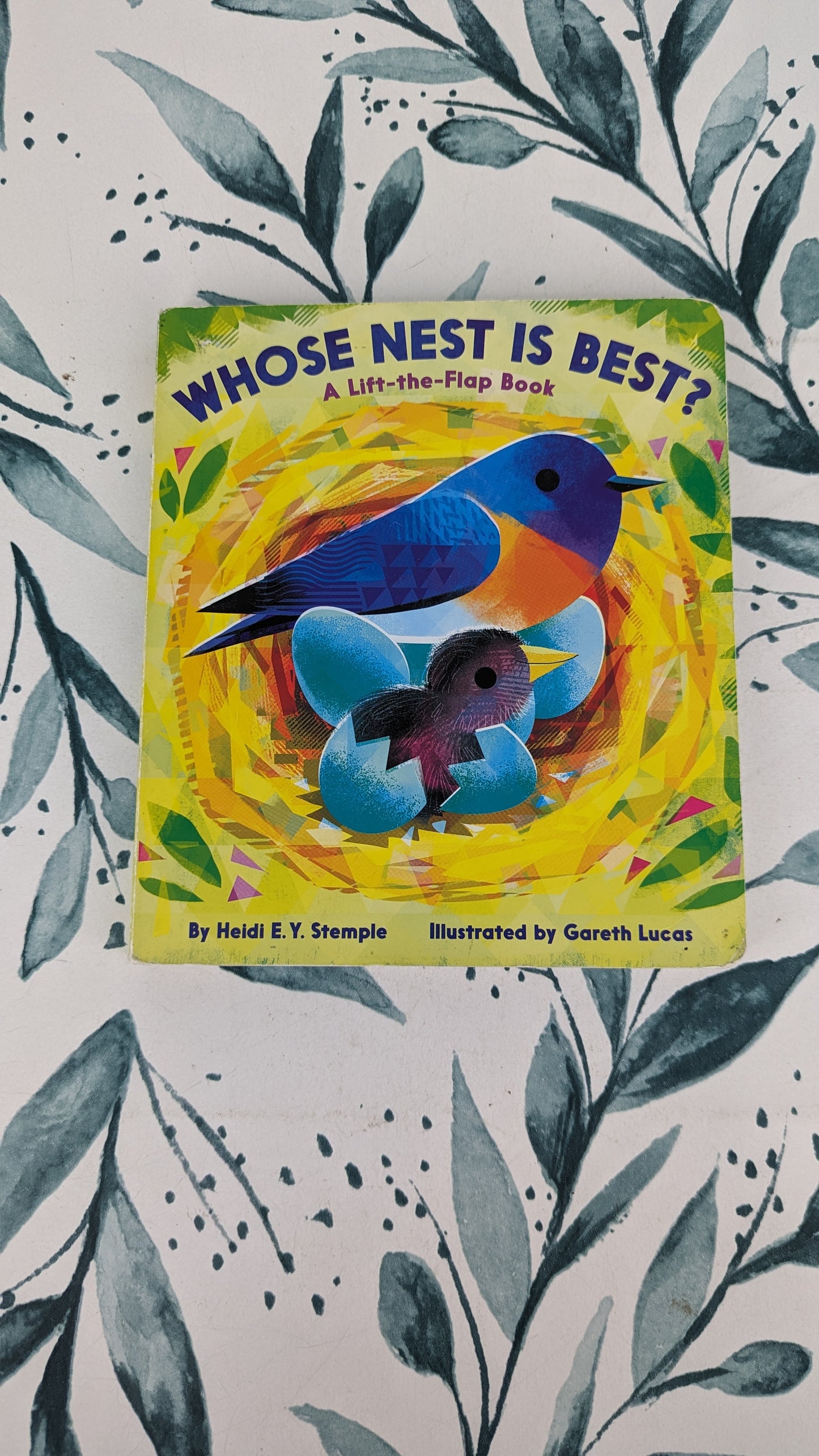 Whose Nest is Best? A Lift-the-Flap Book