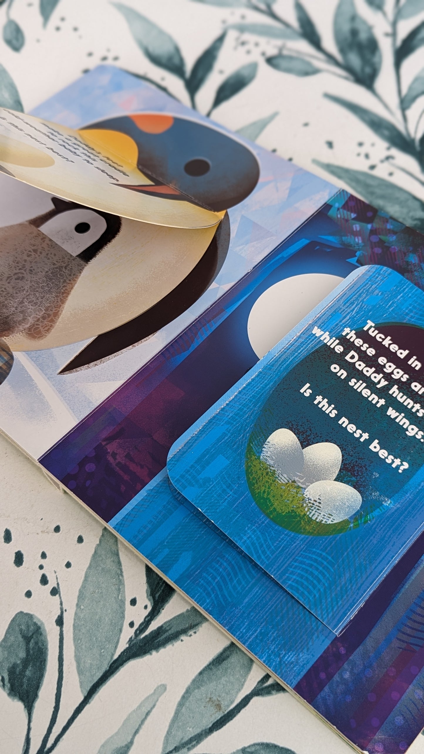 Whose Nest is Best? A Lift-the-Flap Book