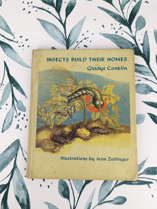 Insects Build Their Homes