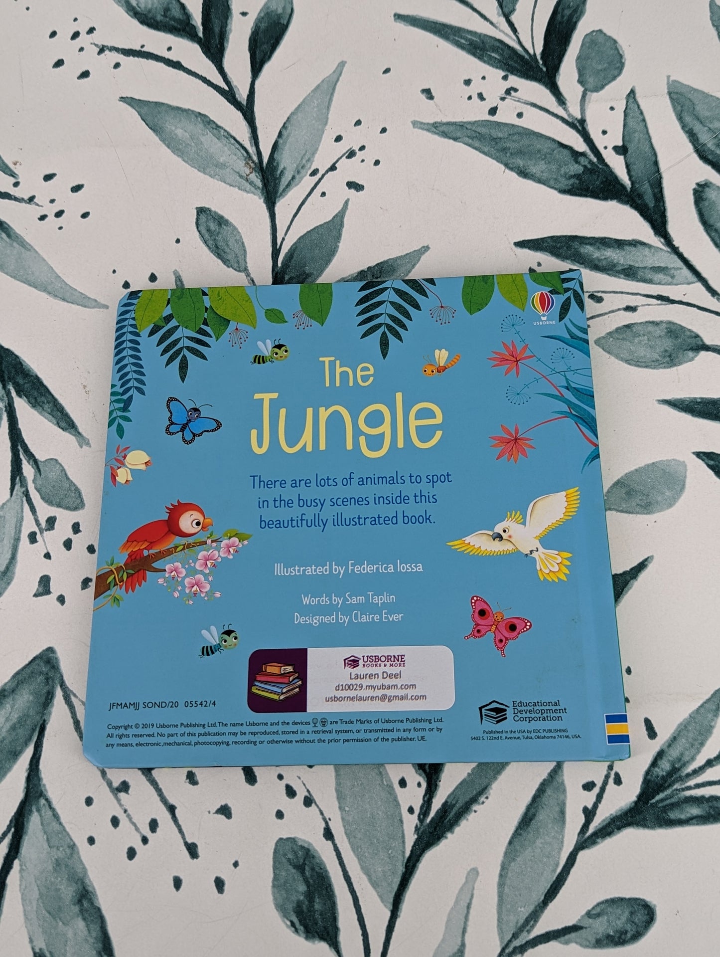Usborne The Jungle (Board Book)