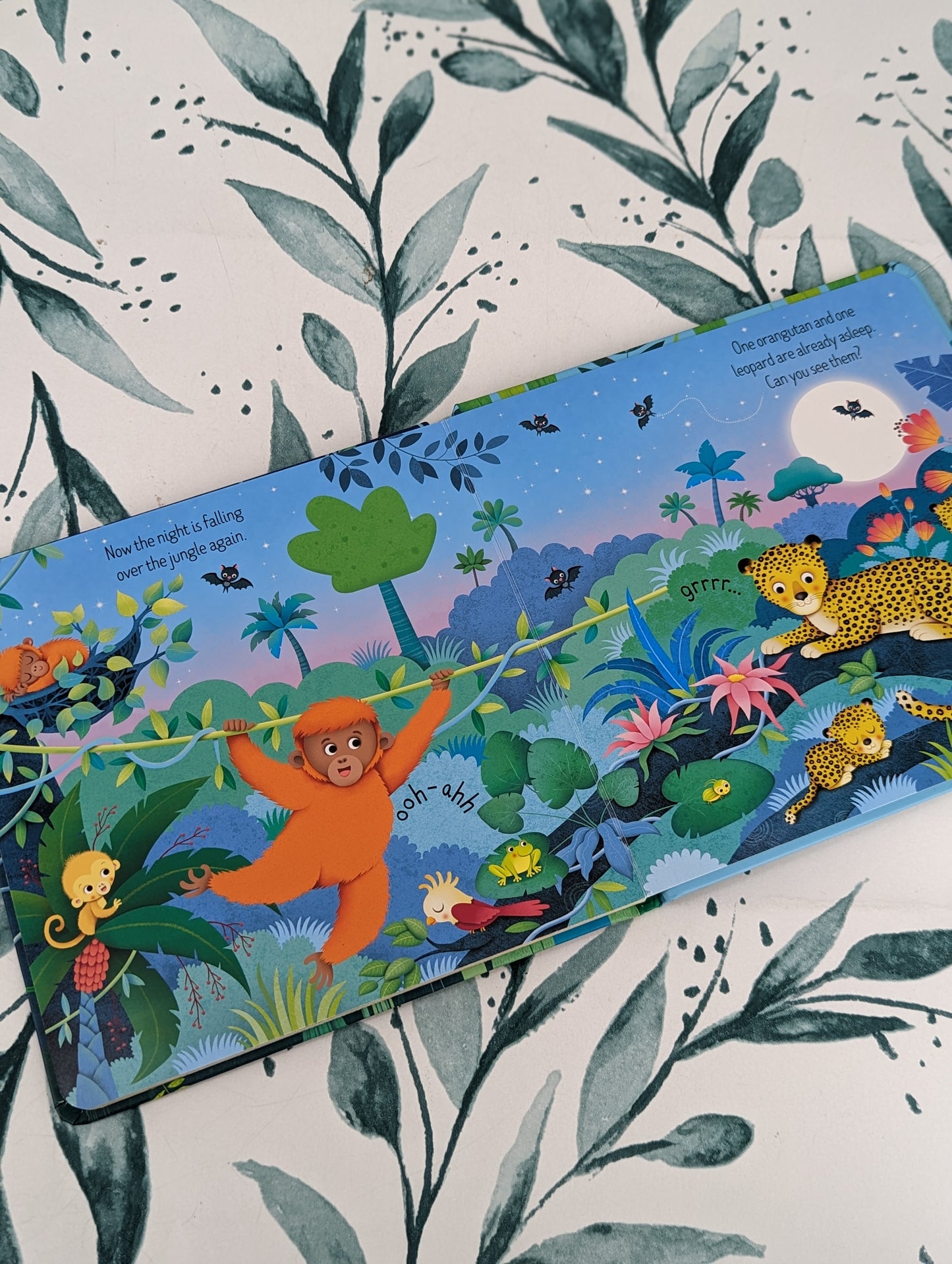 Usborne The Jungle (Board Book)